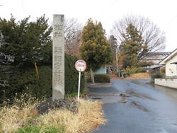 ���z���_��