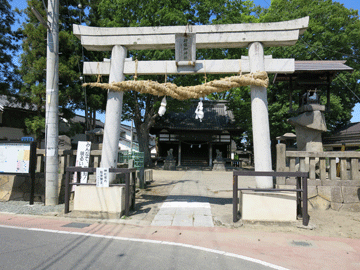 �������_��