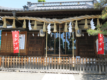 ���{�_��