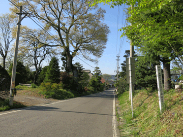 �l�c�J�ꗢ��