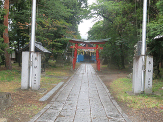 tagajinja