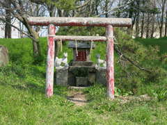 torii
