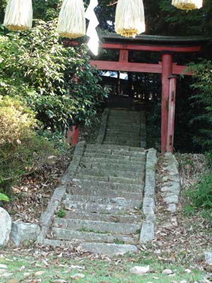 �����_��