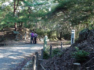 ���̑��ꗢ��