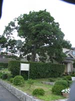 ���h�ꗢ��