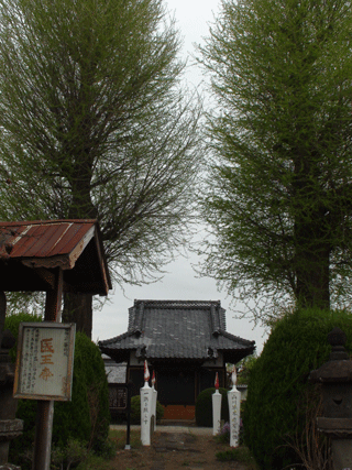 ������Ƃ炷